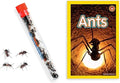 Live Ant Farm Ants (1 Tube of Ants) Plus Ant Book