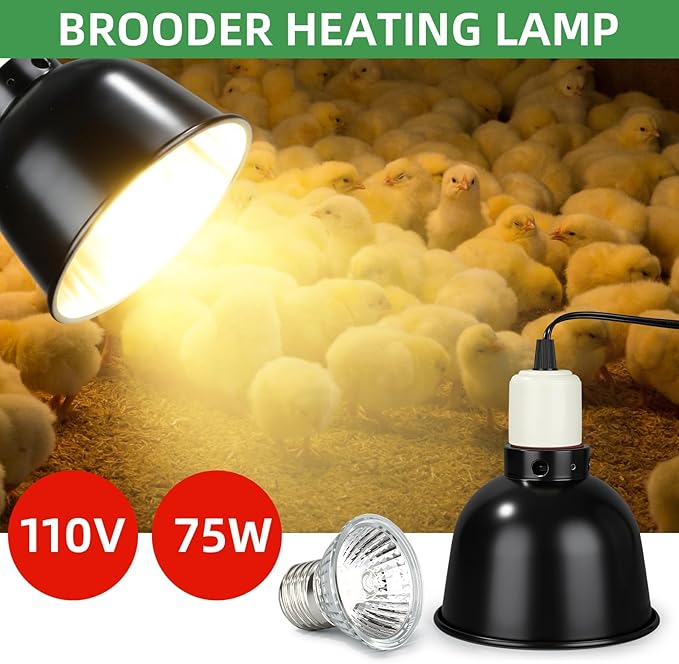 5 Pack Chick Brooder Starter Kit, 0.8 Gallon Heated Chicken Waterer F, 75w Adjustable Heat Lamp, Chick Perch and Flip Top Poultry Feeder for Winter Cold Weather Baby Chicken, Duck and Quail