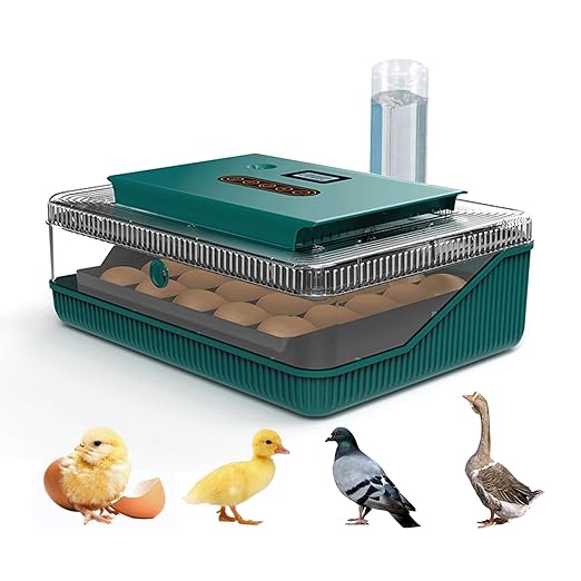 Ovatt 25 Egg Incubator, Automatic Poultry Hatcher with Digital Temperature & Humidity Control, LED Display, Automatic Egg Turner for Chicken, Duck & Goose Eggs, Ideal for Home & Small Farms