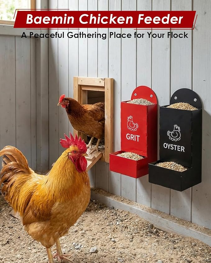Chicken Oyster Shell Feeder, 2 Pcs Metal Chicken Feeder Kit, Chicken Coop Accessories, Includes Feeding Spoon & Brush
