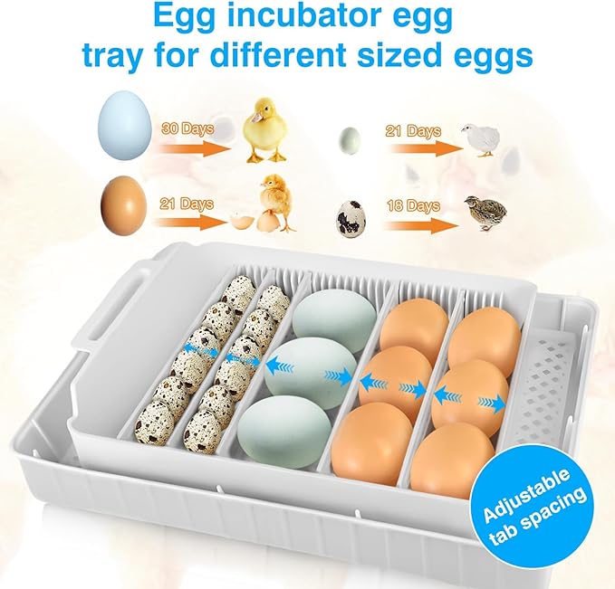 Incubators for Hatching Eggs 15-35 Eggs Incubator with Automatic Egg Turning and ℉Temperature Display LED Candler Poultry Incubator for Hatching Chicken Duck and Quail Incubator (Blue)