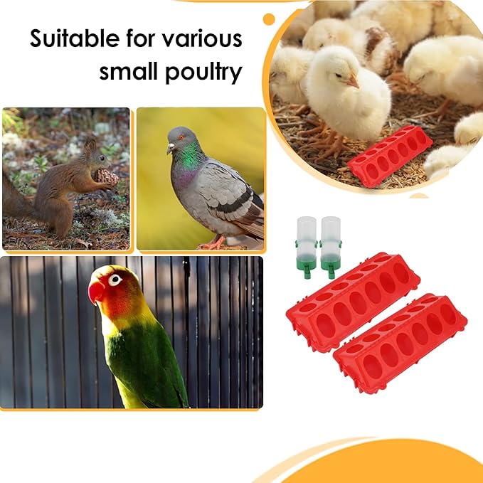 Plastic Chick Feeder and Waterer Kit, 12 Holes, 140ML Capacity, Small Poultry Bird Feeding Set, 2 Pack