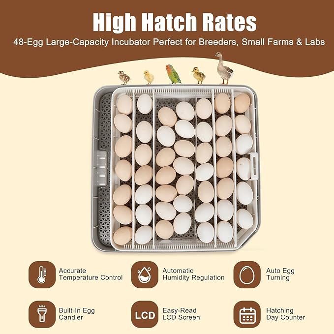 Series IV - 48 Egg Professional Incubator for Breeders, Automatic Sensor-Based Precise Humidity & Temp Control, Adjustable Spacing, Auto Turn & Auto Stop, Preset Incubation Days, Chick Separator