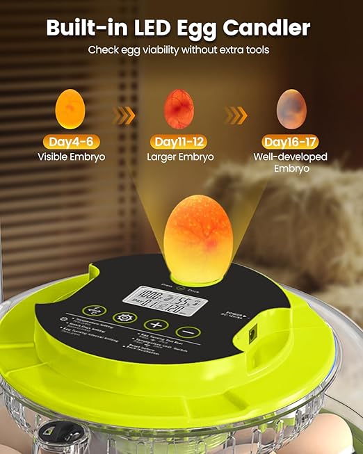 Incubator for Hatching Eggs, 18 Eggs Capacity, Incubators with Egg Candler, Automatic Egg Turner, Temperature & Humidity Control, Full Viewing for Chicken, Duck, Quail, Goose, Parrot, Pigeon