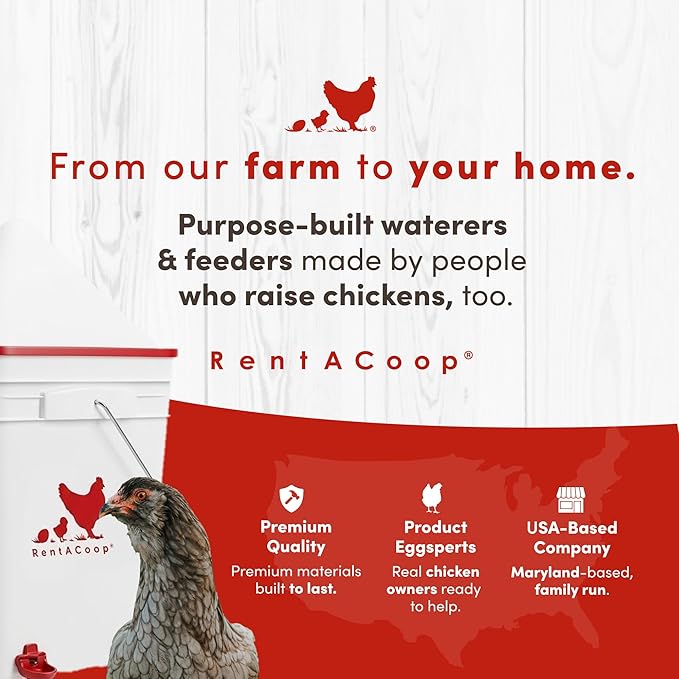 RentACoop 5 Gallon Chicken Waterer, BPA-Free Plastic Bucket Waterer Set with 4 Horizontal Nipples, Large Capacity Poultry Waterer - Corner Placement