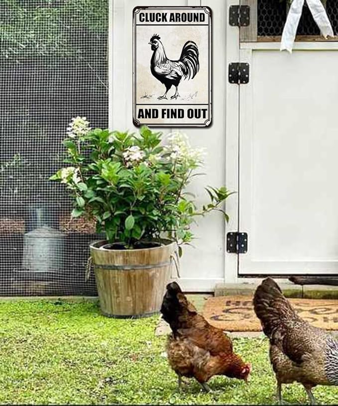 Chiken Gifts Funny Chicken Metal Sign For Home Chicken Decor Coop Rooster Decorations Farm Kitchen Chicken Wall Stuff 8x12 Inches