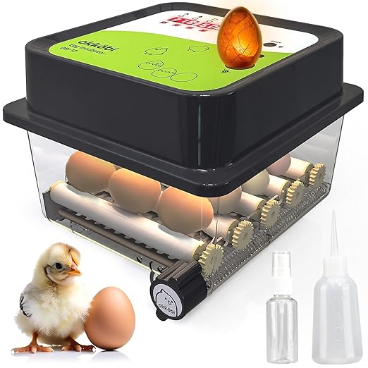OBI-12 Incubator for Hatching Eggs – 12 Eggs, Easy to Use, Stable Temperature & Humidity Control with Eggloo Insulation - Green