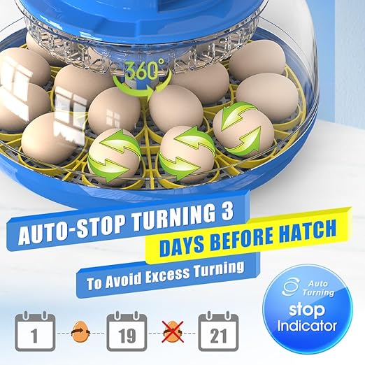incubators for hatching eggs，18 Egg Incubator,egg incubator with automatic egg turning and humidity control，incubator for chicken eggs，chicken incubators for hatching eggs，quail egg incubator