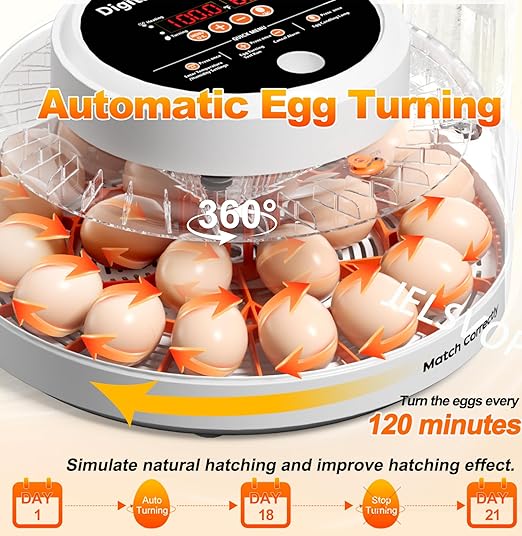 Upgraded Egg Incubators for Hatching Eggs, 22 Egg Incubator with Automatic Egg Turning, Temperature Control & Humidity Display, LED Candler, Incubator for Chicken, Duck, Quail Eggs
