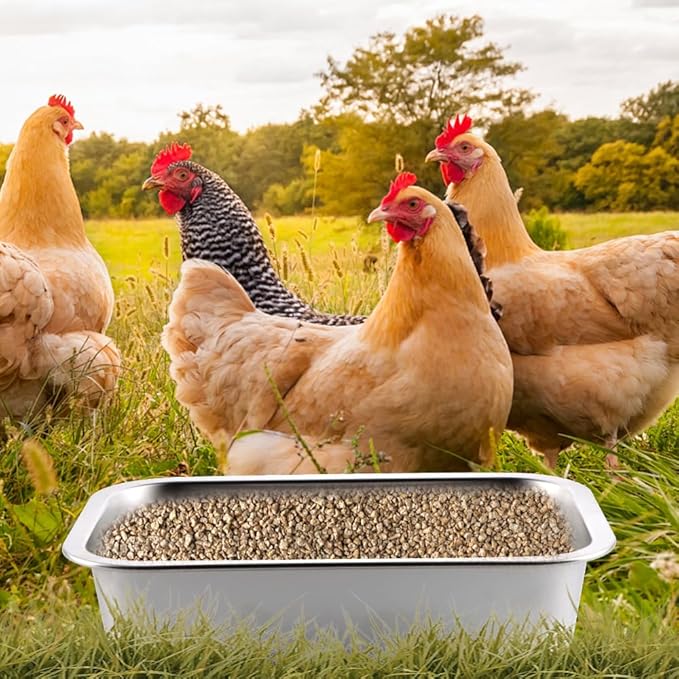 2 Pack Heavy Duty Metal Chicken Feeder Trough Water Feeder Large Capacity Feed Trough Bucket for Chicken Duck Pig Deer Livestock Pet Poultry