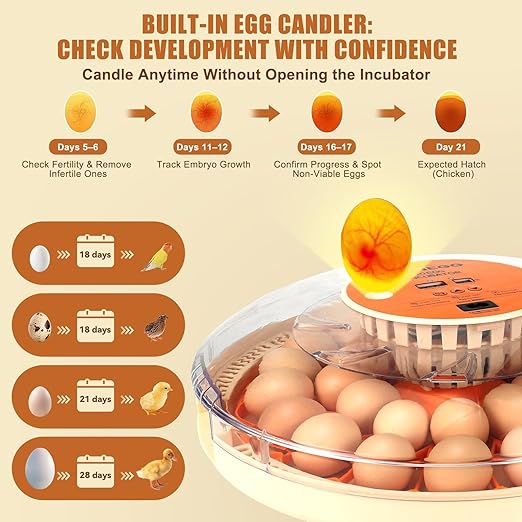2nd Gen 30 Egg Incubator, Wide-Range Humidity with Manual Water Fill, Stable Temp Control, Dual-Size Egg Slots, Auto Egg Turning, Candler, Real-Time Display for Hatching Poultry Eggs