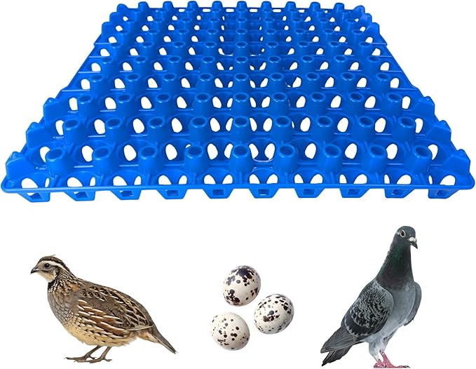 Hen's Choice 90 Egg Plastic Trays for Quail, Pigeon, Dove, Birds. Incubator Flat Carton (Blue, 12 Pack)