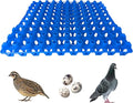 Hen's Choice 90 Egg Plastic Trays for Quail, Pigeon, Dove, Birds. Incubator Flat Carton (Blue, 12 Pack)