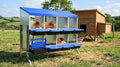 Chicken Nesting Box 8-Hole Roll Away Egg Laying Box with Lid & Stand, Galvanized Steel Rustproof Poultry Coop Box, Easy Clean, Wall Mountable No Bracket Needed for Hens, Blue