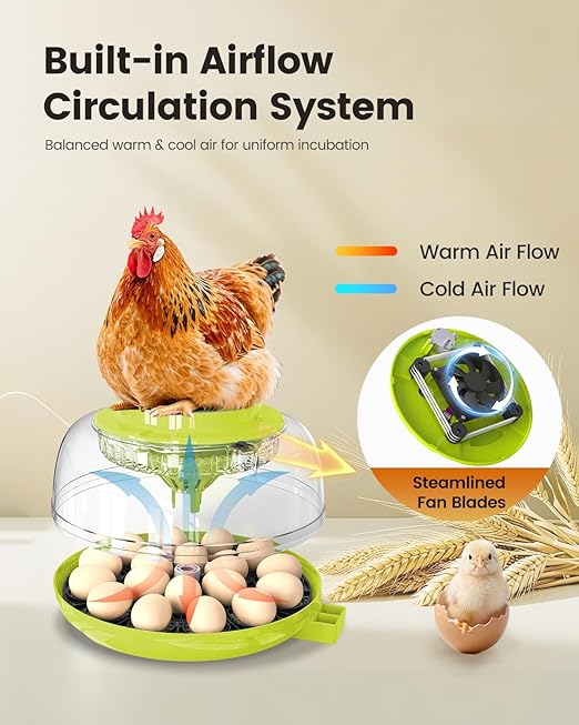 Incubator for Hatching Eggs, 18 Eggs Capacity, Incubators with Egg Candler, Automatic Egg Turner, Temperature & Humidity Control, Full Viewing for Chicken, Duck, Quail, Goose, Parrot, Pigeon