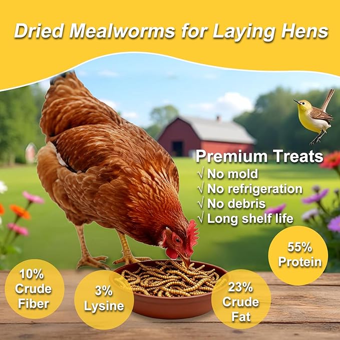 RANZ 5LBS Non-GMO Dried Mealworms for Chickens, High Protein Meal Worms, Premium Chicken Feed, Perfect Bird Food and Chicken Treats, Whole Large Mealworms for Wild Birds, Ducks, Fish