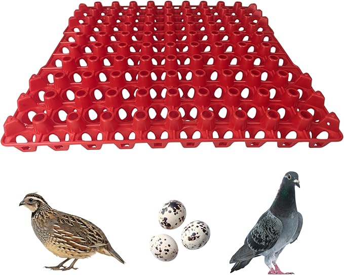 Hen's Choice 90 Egg Plastic Trays for Quail, Pigeon, Dove, Birds. Incubator Flat Carton (Red, 6 Pack)