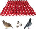 Hen's Choice 90 Egg Plastic Trays for Quail, Pigeon, Dove, Birds. Incubator Flat Carton (Red, 6 Pack)
