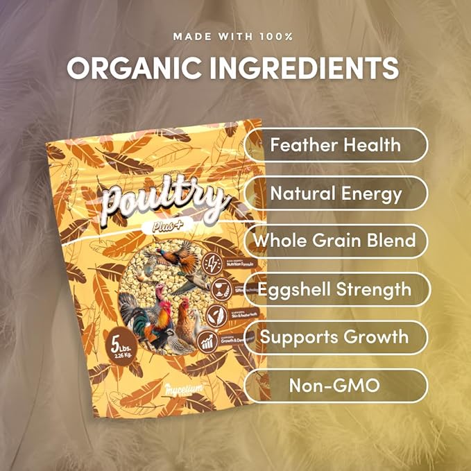 Mycelium Poultry Plus Feed (5 LB Bag) | Organic Poultry Food for Chickens, Ducks & Game Birds | Supports Growth, Feather Health & Energy | High-Protein, Omega-Rich Scratch Mix | USA Made, Non-GMO