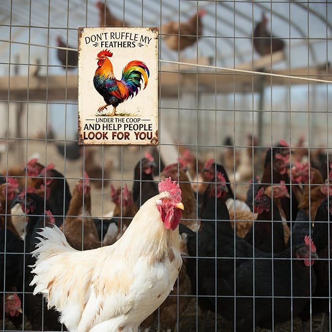 Funny Chicken Metal Decor Signs Rooster Decor Tin Sign for Farm Kitchen Garden Home, Chicken Gifts for Chicken Lovers, Chicken Coop Signs, Chicken Decor, 12x8 Inch