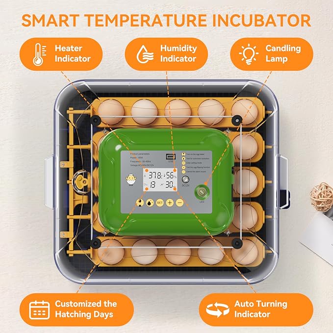 Incubators for Hatching Eggs, 25 Egg Incubator with Automatic Egg Turning and Humidity Control, Temp Control, Hatch Day, 360° Viewing for Chicken, Duck, Quail Eggs, Ideal for Farm, School and Lab