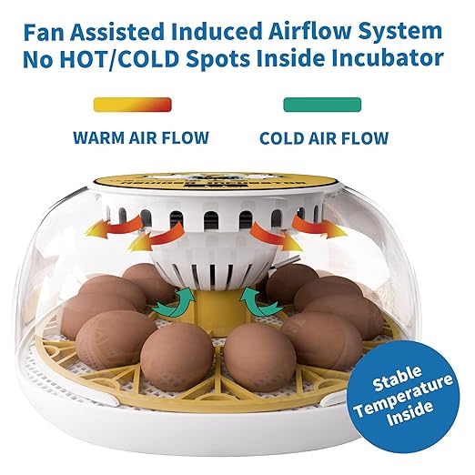 Egg Incubator for Hatching Chicks, 12-24 Egg Incubators with Auto Turning, Automatic Water Top-up, Fahrenheit Display, 360° View Poultry Incubator for Hatching Chicken Duck Quail Parrot
