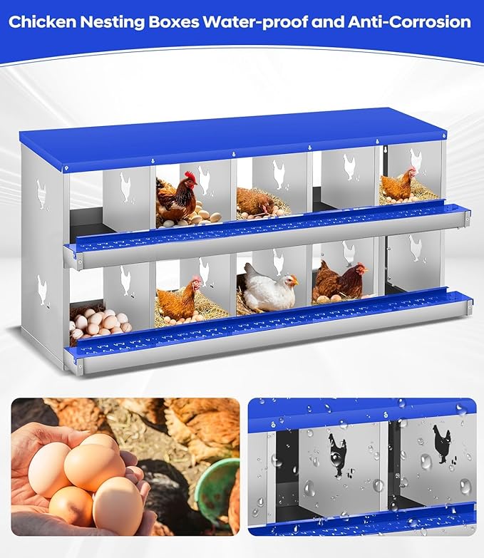 Metal Nesting Boxes for Chickens-10 Compartment Chicken Nesting Box for Laying Eggs, Wall Mountable Roll Away Laying Boxes for Hens and Chicken Coop