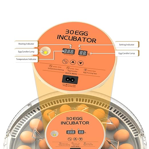 30 Egg Incubator with Automatic Egg Turning and Humidity Control/Display, Poultry Incubator with Water Refill, 360°Clear View, Air Vent, Candling Light, Hatching Chicken Quail Duck Goose Birds