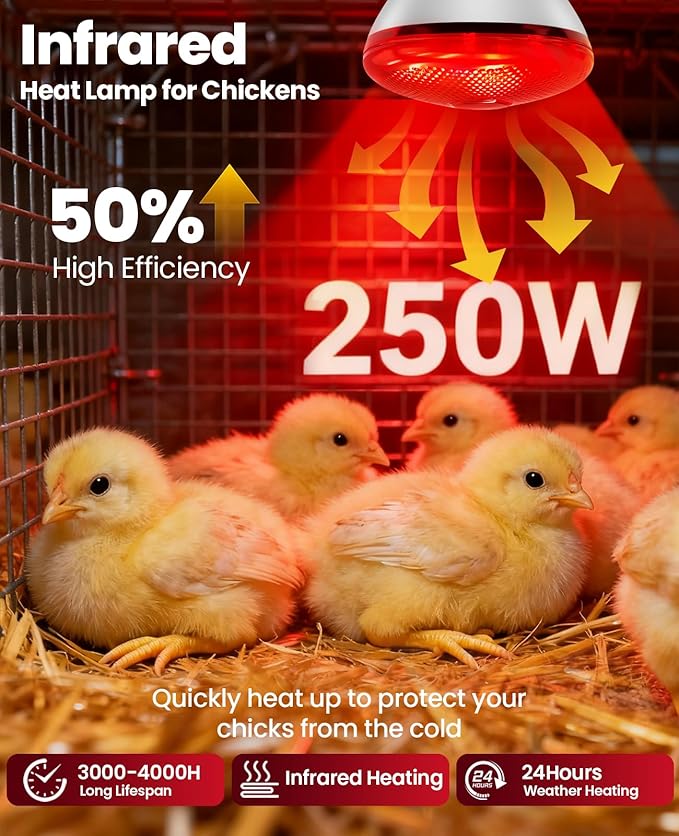 Infrared Heat Lamp for Chickens: 250W Red Heat Lamp Bulb - Heat Light Bulbs for Brooder Coop Chicks Pets Reptile Food Service Bathroom Light Therapy - Chicken Infrared Incandescent Light Bulbs -1 Pack