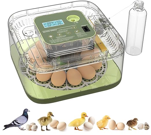 Incubators for Hatching Eggs 12 Egg Digital Egg Incubator Precision Auto Temp Humidity Control 6 Gear Adjustable Auto Turner Auto Stop Turning Hatching Days Display for Chicken Duck Goose Eggs