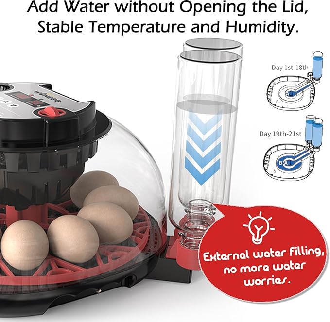 Smart Chicken Incubators for Hatching Eggs with Automatic Turner Small Poultry Duck Quail 12 Egg Incubator Temperature Control Display Hatcher Machine (M12 Pro)
