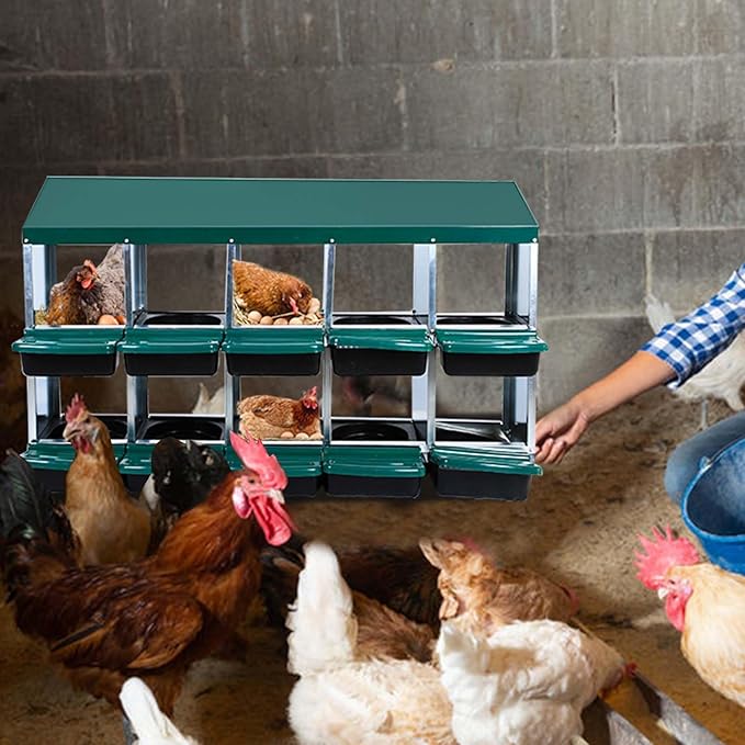 10-Compartment Roll-Away Metal Chicken Nesting Box – Durable Hen Laying Box with Lid and Pull-Out Roosts, Protective, Cleanable, Green, No Bracket Legs for Coops