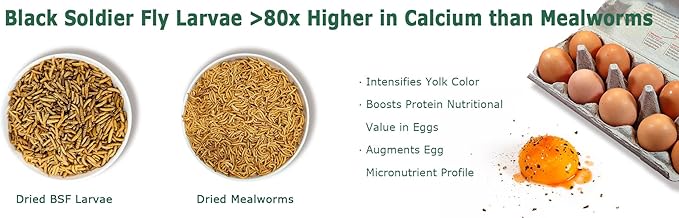 Dried Black Soldier Fly Larvae for Chickens - Non-GMO Poultry Feed Supplement, 85X More Calcium Than Mealworms, 5LB BSF Worms Perfect for Molting & Laying Hens, Ducks & Wild Birds
