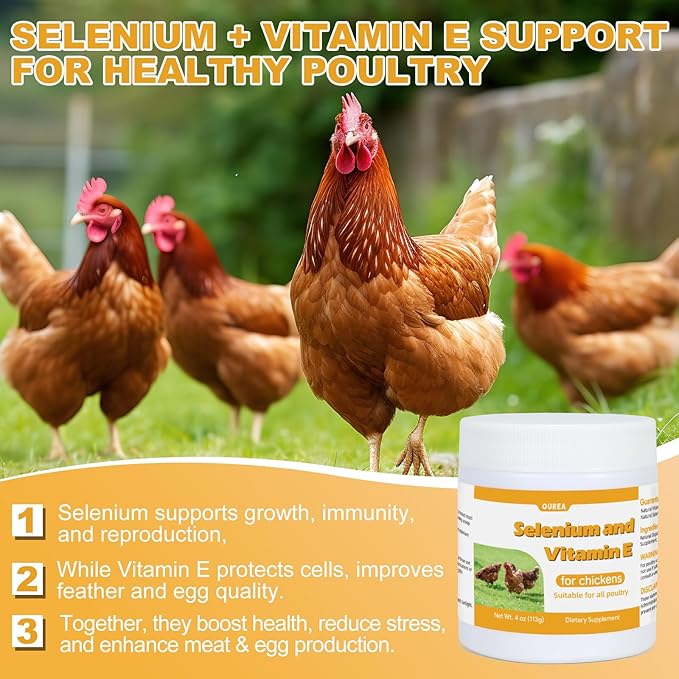 E+S Poultry Vitality Formula | Selenium for Chickens & All Poultry | Nutrient Support Powder for Energy Balance and Mobility | Feed Mix Additive for Healthy Growth