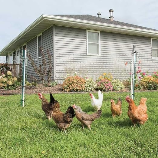 Premier 1 PoultryNet® 48"H x 8'L Electric Net Gate with Drivable Posts for Chickens, Ducks, Geese | Green/Black Net with White Posts (8' Length)