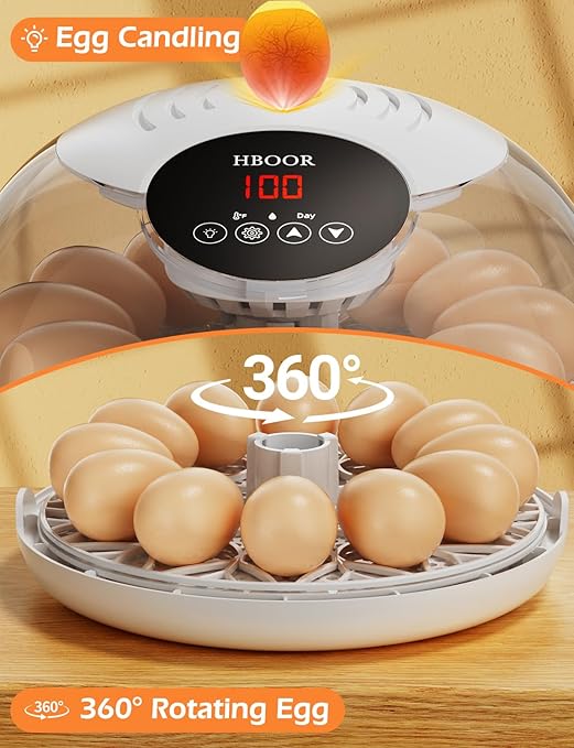 Incubators for Hatching Eggs, 12 Egg Incubator with Automatic Egg Turning and Temperature Humidity Control, Egg Candler incubadora de huevos de gallina for Home, Farm, Classroom, Chicken, Duck, Quail