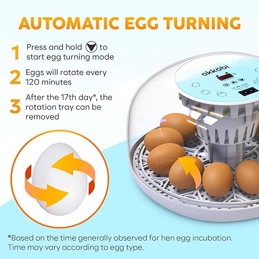 M12 Incubators for Hatching Eggs - Egg Incubator with Automatic Turner and Humidity Control - 12/24 Eggs - Incubadora de Huevos de Gallina - Easy to Use and Clean - 360° View - Blue