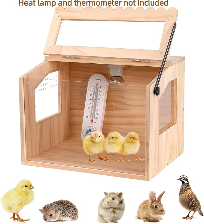 Chick Brooder Box,Large Brooder Box for Chicks,32" L x 16 W x 42 H, 10-15 Chicks, Chicken coop,Quail cage,Quail coop,Measures Approximately.