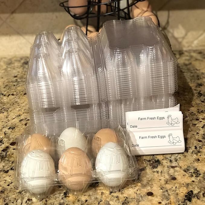 HOIGON 120 Pack Egg Cartons 6 Count, Stackable Half Dozen Egg Carton Bulk for Kitchen, Refrigerator, Market, Farm Storing, Groceries