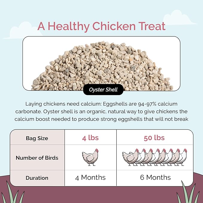 Mile Four Oyster Shell for Chickens (50 lbs) Calcium Supplement for Chickens, 100% Natural Limestone Calcium Carbonate, Strong Eggshell & Bone Boost