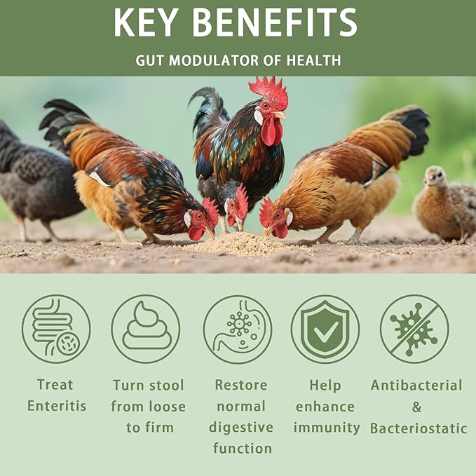 Chicken Gut Modulator of Health, Natural Formula Anti Diarrhea Modulator Powder for Chickens & Poultry, Control and Prevent Diarrhea & Enteritis Issues，Stop The Runs Supplement for Duck, Goose,10 oz
