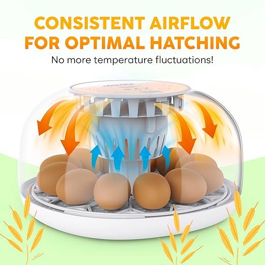 Okkobi M12 Egg Incubator with Automatic Turner and Humidity Control - 12/24 Eggs, 360° View, Easy to Use and Clean - Incubadora de Huevos de Gallina - Made for US - White & Orange