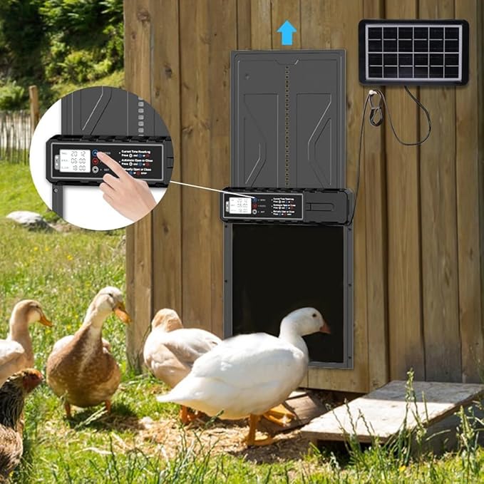 Automatic Chicken Coop Door Solar Powered,Aluminum Alloy Auto Door with Timer & Light Sensor, LCD Display, Solar Chicken Coop Door Anti-Pinch & Weatherproof, Vertical Sliding Door
