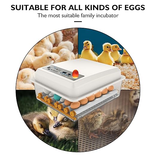 Egg Incubator,Egg Incubator with Automatic Egg Turning and Humidity Control,Poultry Hatcher for Chickens Ducks Birds (180 Eggs)