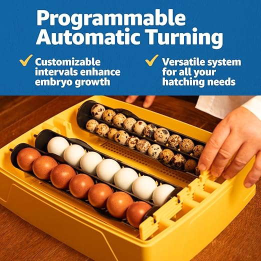 Brinsea Ovation 28 EX Egg Incubator & Expert Incubation Book, Automatic Humidity Control and Egg Turning for Hatching 28 Chicken, Duck, Other Bird Eggs, Precision Digital Controls