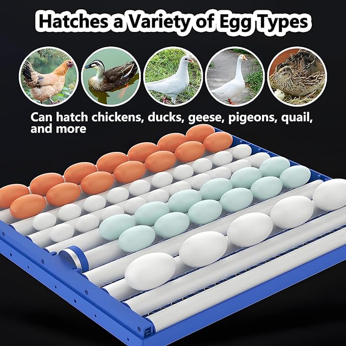 Poultry Pigeon & Game Bird Egg Incubators with Auto Turn & Smart Temp/Humidity Control & Egg Candler Poultry Hatcher Machine for Hatching Eggs Adjustable Rollers for Any Egg Size 68eggs
