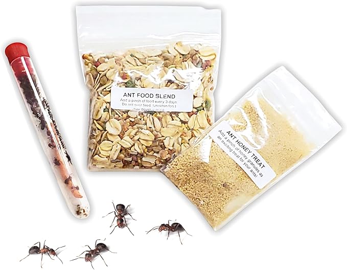 Nature Gift Store 1 Tube of Live Ants Plus Ant Food and Honey Treat: Ant Habitat Kit Refill