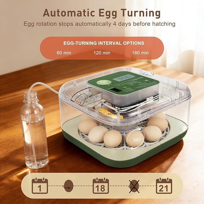 Series IV - 12 Egg Fully Automatic Incubator, Low Maintenance, Intelligent Sensor-Based Precise Humidity & Temp Control, Custom-Interval Auto Turn & Auto Stop, Preset Incubation Days, Candler, Alarms