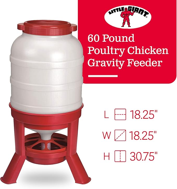 Little Giant Plastic Dome Feeder (60 Lb) Heavy Duty Plastic Gravity Fed Poultry Feed Container Tank (Red) (Item No. DOMEFDR60) (2 Pack)