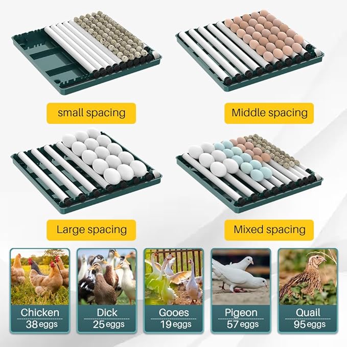 Automatic Egg Incubator 12-38 Egg Digital Poultry Hatcher Machine ith Automatic Egg Turning, Temperature & Humidity Control, Efficient LED Lighting for Chicken Geese Ducks Pigeons Quails (38 Eggs)